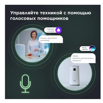  Умная розетка PERENIO PEHPL02 