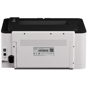  Принтер лазерный F+ PB301DN 