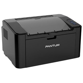  Принтер лазерный PANTUM P2516 Black 