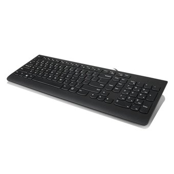  Клавиатура Lenovo 300 черный USB для ноутбука (GX30M39684) 