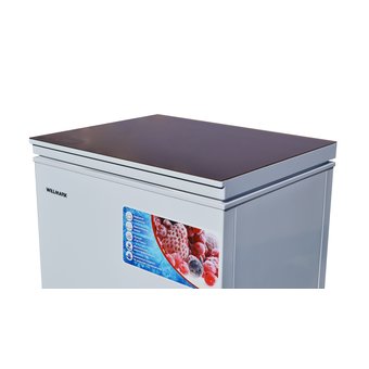  Морозильный ларь WILLMARK CF-310G 