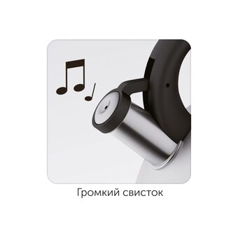 Чайник Nadoba Virga 731002 2.8л 