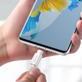  Дата-кабель Baseus Superior (CATYS-C02) Fast Charging Type-C to Type-C 100W 2m White 