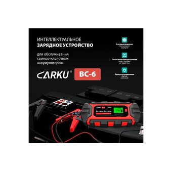  Зарядное устройство Carku BC-6 