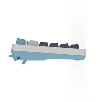  Клавиатура A4Tech Fstyler FS300 механическая белый/синий USB for gamer LED Panda snowboarding 