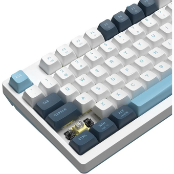  Клавиатура A4Tech Fstyler FS300 механическая белый/синий USB for gamer LED Panda snowboarding 