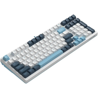  Клавиатура A4Tech Fstyler FS300 механическая белый/синий USB for gamer LED Panda snowboarding 