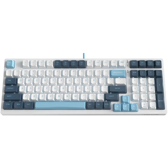  Клавиатура A4Tech Fstyler FS300 механическая белый/синий USB for gamer LED Panda snowboarding 