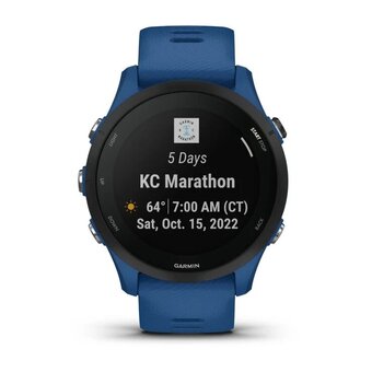  Smart-часы Garmin Forerunner 255 010-02641-11 Tidal Blue 