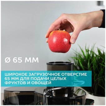  Соковыжималка SCARLETT SC-JE50S49 красный и черный 