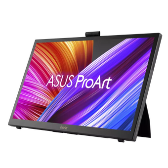  Монитор ASUS ProArt PA169CDV (90LM0711-B01I70) 31.5", черный 