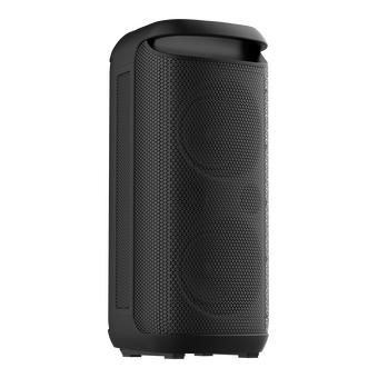  Портативная колонка SOUNDMAX SM-MS4210 черный 