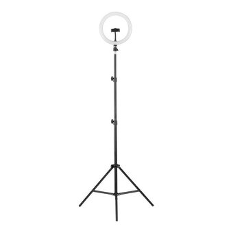  Светильник кольцевой Camelion KD-810F C02 (13010) 