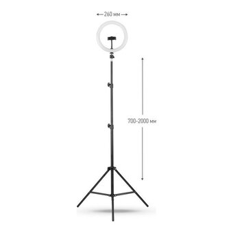  Светильник кольцевой Camelion KD-810F C02 (13010) 