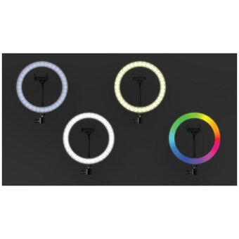  Кольцевой осветитель Ritmix Rrl-263, 120 