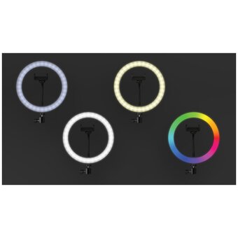  Кольцевой осветитель Ritmix Rrl-261, 120 LED, 26см 