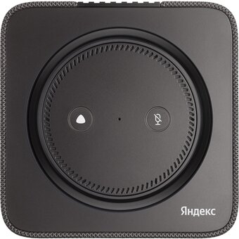  Умная колонка Яндекс.Станция Макс с Zigbee YNDX-00053 (YNDX-00053K) с Алисой +пульт Черный/black 