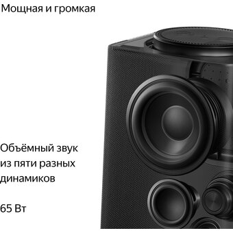  Умная колонка Яндекс.Станция Макс с Zigbee YNDX-00053 (YNDX-00053K) с Алисой +пульт Черный/black 