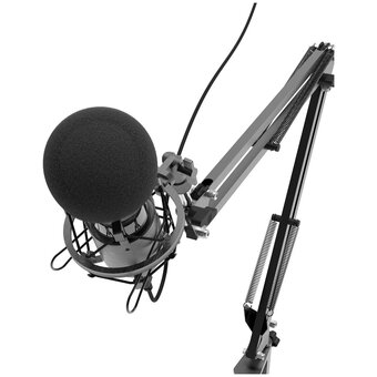  Микрофон Ritmix RDM-180 черный 