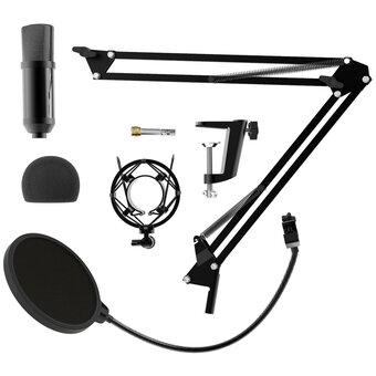  Микрофон Ritmix RDM-180 черный 