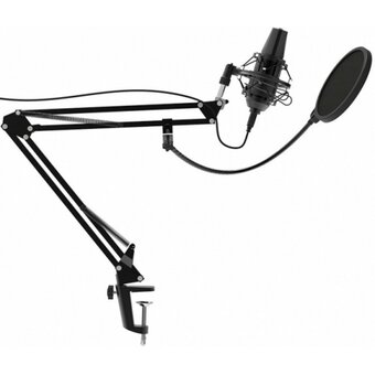  Микрофон Ritmix RDM-180 черный 
