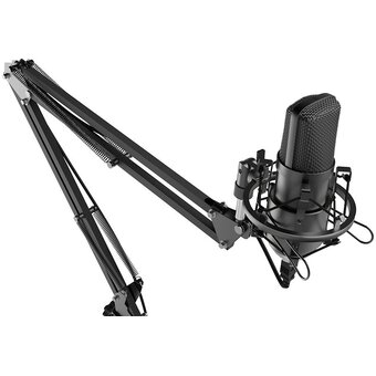  Микрофон Ritmix RDM-180 черный 
