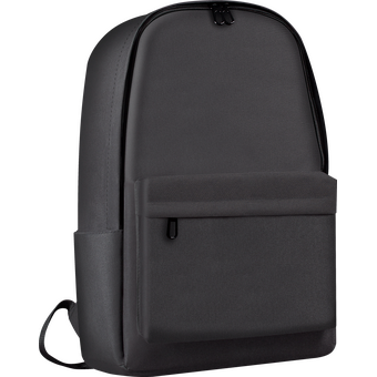  Сумка для ноутбука DEFENDER City 26090 15.6" Black 