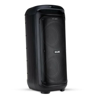  Акустическая система ELTRONIC 30-29 Dance Box 1000 