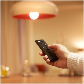  Умный пульт Wiz 929002426802 