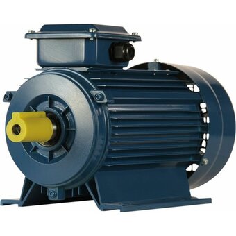 Электродвигатель 5АИ 90 L2 3/3000 IM 1081 (01.01.213461) 