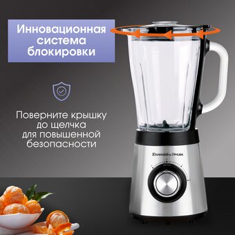  Блендер Zigmund & Shtain BS-448 D 