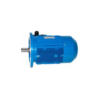  Электродвигатель 5АИ 100 S4 3/1500 IM 3081 (01.01.213507) 
