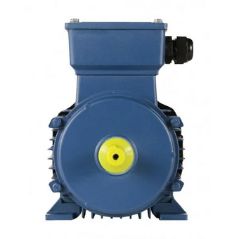  Электродвигатель 5АИ 63 В2 0.55/3000 IM 1081 (01.01.213526) 