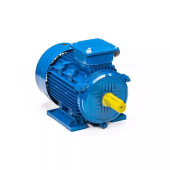  Электродвигатель 5АИ 100 S4 3/1500 IM 1081 (01.01.213667) 