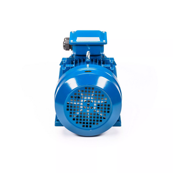  Электродвигатель 5АИ 100 S4 3/1500 IM 1081 (01.01.213667) 