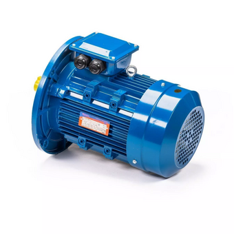  Электродвигатель 5АИ 100 S4 3/1500 IM 3081 (01.01.213507) 