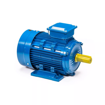  Электродвигатель 5АИ 100 S4 3/1500 IM 1081 (01.01.213667) 