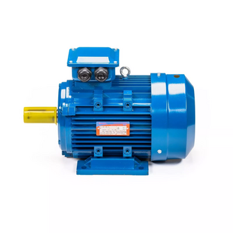  Электродвигатель 5АИ 100 S4 3/1500 IM 1081 (01.01.213667) 