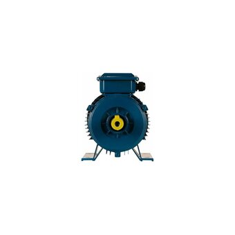  Электродвигатель 5АИ 90 L4 2.2/1500 IM 1081 (01.01.213462) 