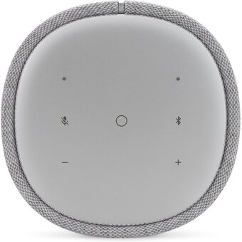  Портативная акустика Harman Kardon Citation One MK III серый 