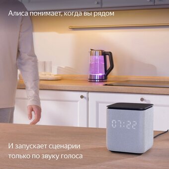  Яндекс Станция Миди YNDX-00054GRY с Алисой, с Zigbee gray 