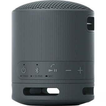  Беспроводная колонка SONY SRS XB100 черный 