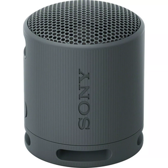  Беспроводная колонка SONY SRS XB100 черный 