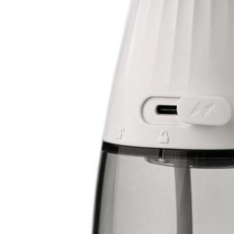  Ирригатор REVYLINE RL 220 белый 
