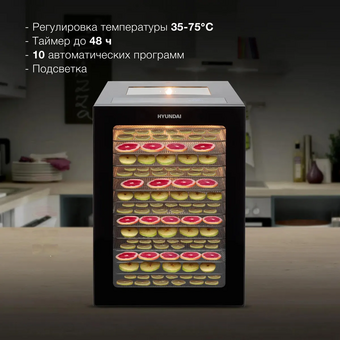  Сушка для фруктов и овощей Hyundai HYFD-8803 28под. черный 