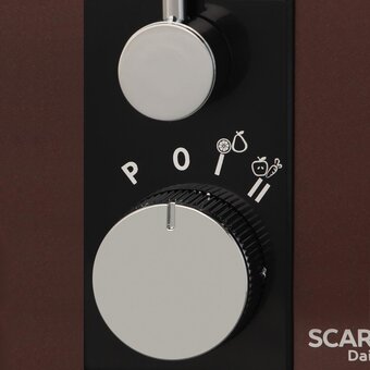  Соковыжималка SCARLETT SC-JE50S57 Brown 
