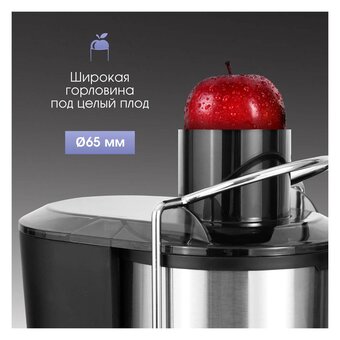  Соковыжималка Zigmund & Shtain EJ-757 