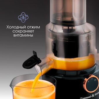  Соковыжималка Zigmund & Shtain ESJ-771 