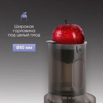  Соковыжималка Zigmund & Shtain ESJ-771 