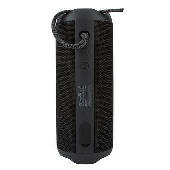  Беспроводная колонка ELTRONIC 30-04 Simply черный 